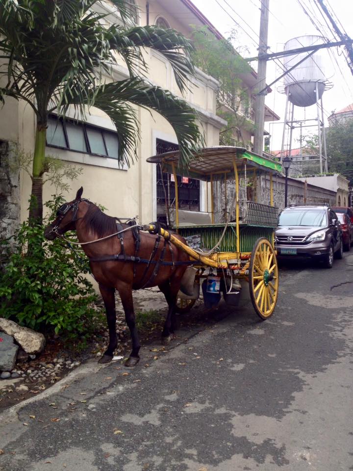 Intramuros negyed és a ló, aki nem akart fotózkodni