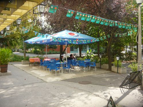 P1230763.JPG