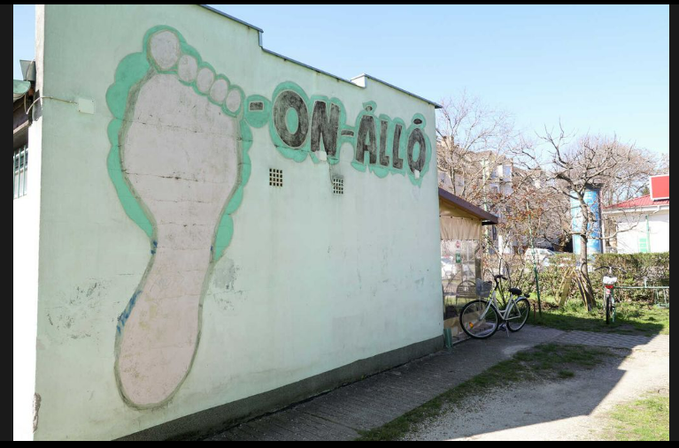talponallo_6.jpg