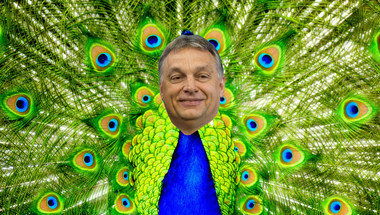 Orbán Viktor lassan tanulhatja a féllábú pávatáncot