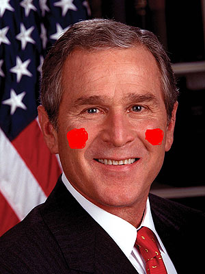 bush_1.jpg