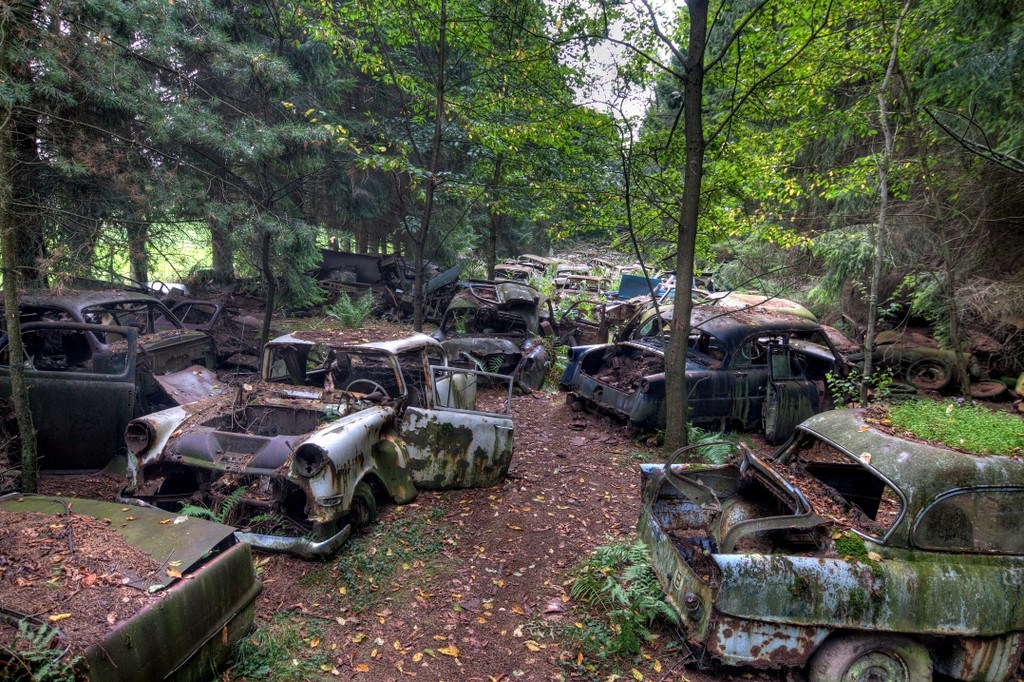Elhagyott autók az erdőben