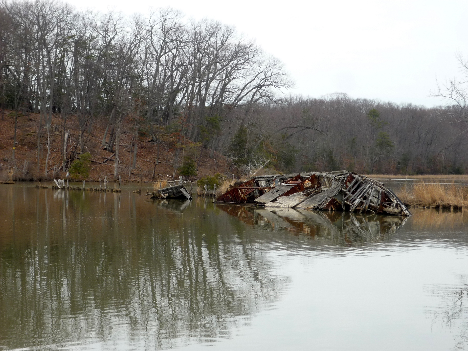 Mallows-bay-shipwreck.jpg