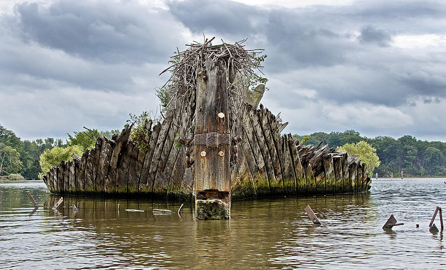 ship-graveyard-at-mallows-bay--maryland-brendan-reals.jpg