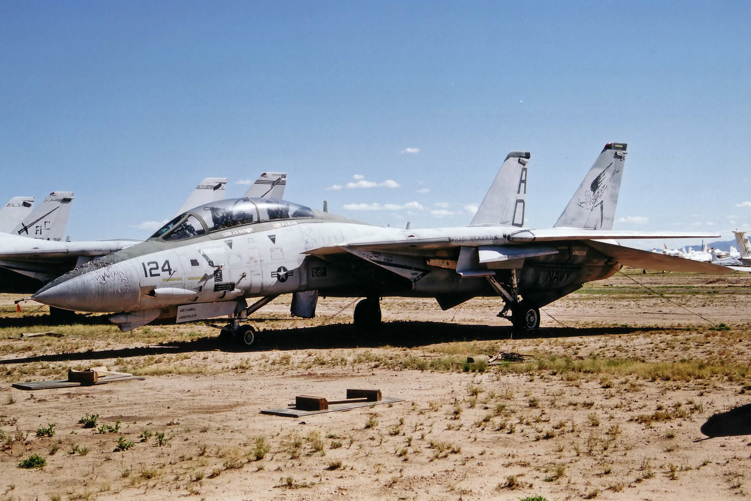 usnavy_grumman_f14_tomcat.jpg