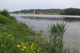 8 dolog, amiért érdemes ellátogatni a bácskai Felső-Dunamellékre