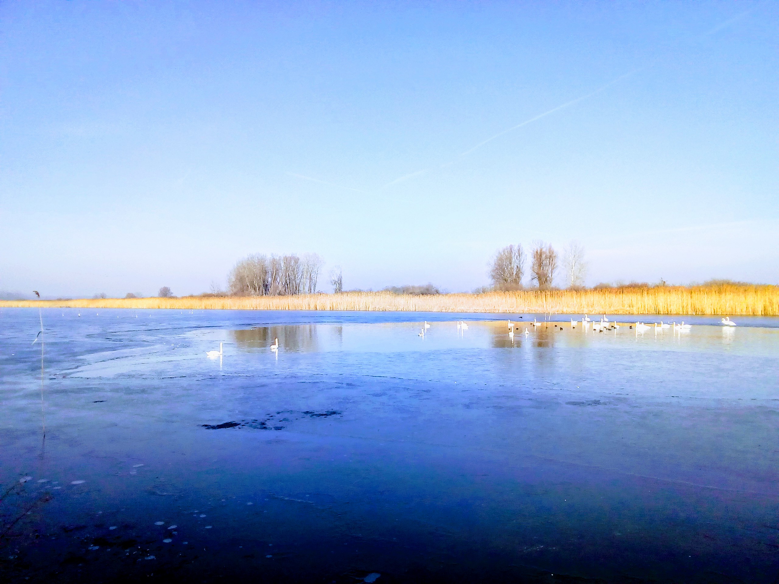 img_20200110_112318.jpg