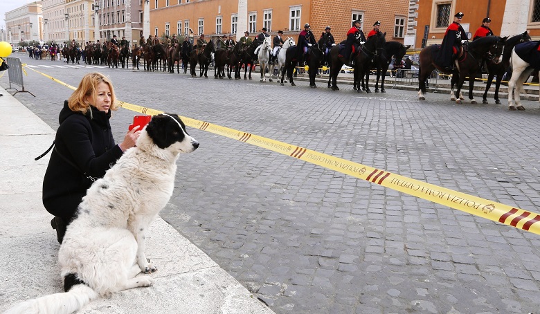 Állati áldást osztottak a Vatikánban