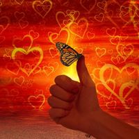 Hogyan lesz Tőled jobb a világ?