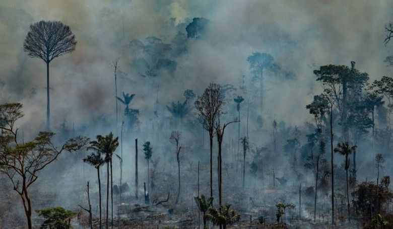 A latin-amerikai püspöki karok felhívása az Amazonas védelmére