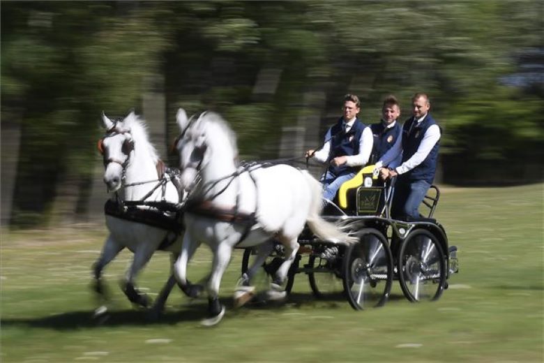 Fogathajtó verseny