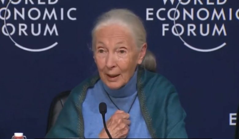 Hazánk is csatlakozik Jane Goodall nemzetközi faültetési akciójához