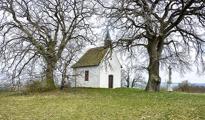 Templomokat újított fel a Pécsi Egyházmegye