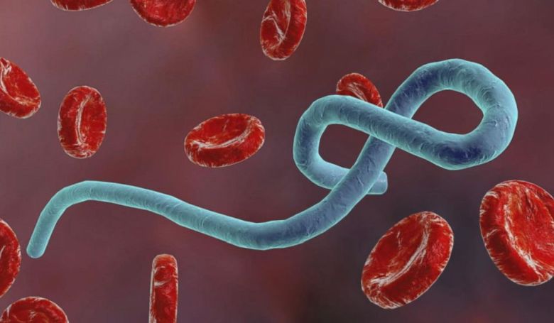 Nagyobb az esély az ebola túlélésére