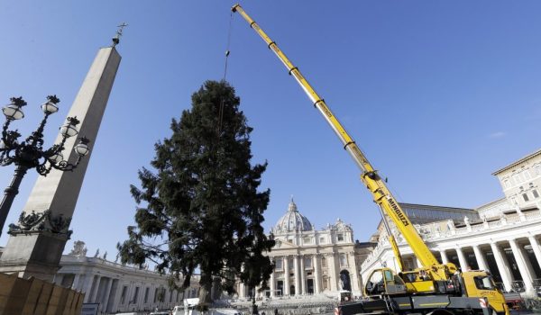 Lengyel karácsonyfa érkezett a Szent Péter térre