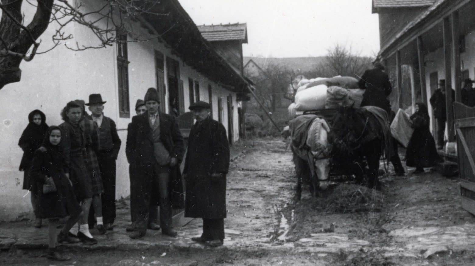 Háromszáz év után zavarták "haza" őket