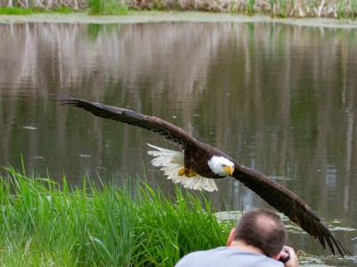 sas_fotosaval.jpg