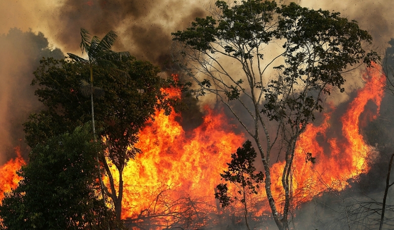 Több ezer erdőtűz az Amazonas régióban