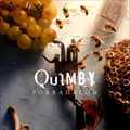 Forradalmi erővel robbant be az új Quimby-dal