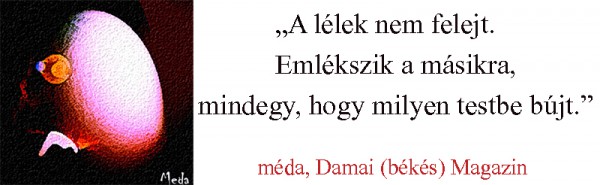 meda-lelek-emlekszik.jpg