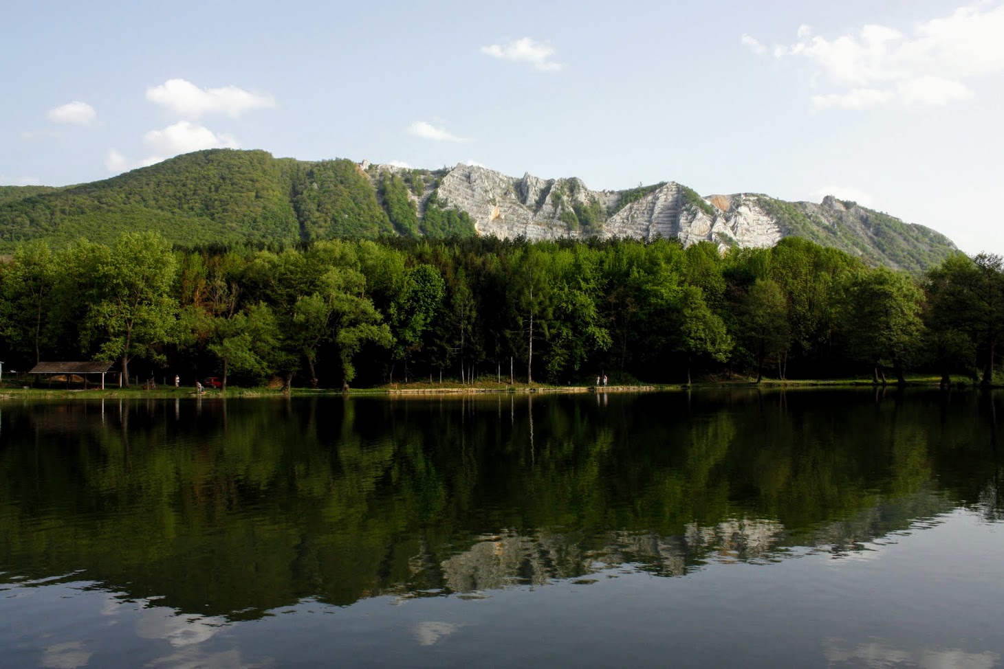 _mg_1731.JPG