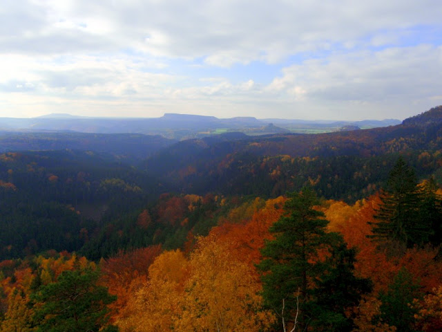 PA301185.JPG