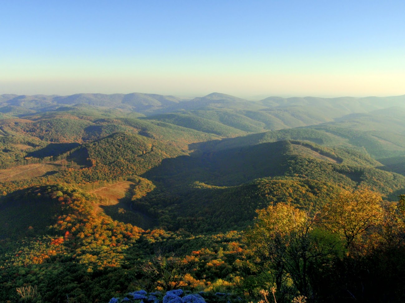 pa214329.JPG
