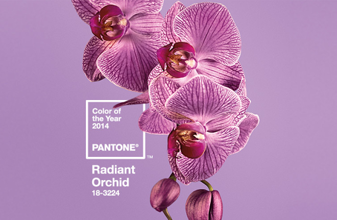 2014 színe: Radiant Orchid