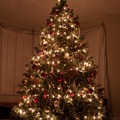 Karácsonyfa…. egész évben???