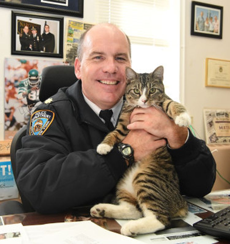 martin-nypd-cat-2.jpg