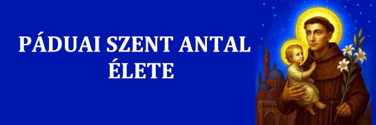 banner_antal_545.jpg