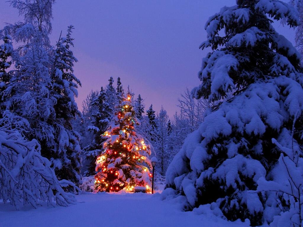 christmas-wallpaper-36.jpg