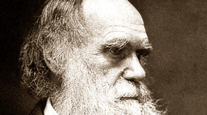 darwin_dynamic_lead_slide300.jpg