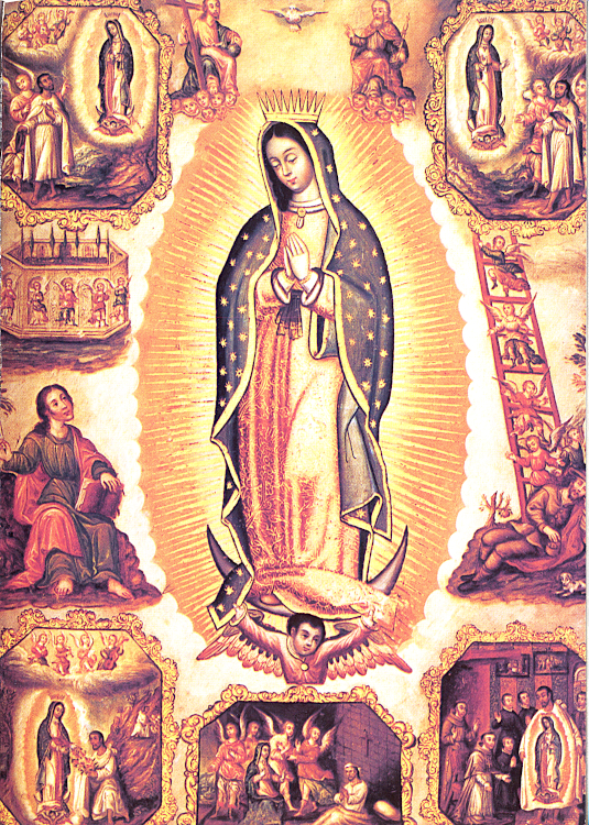 guadalupe0026_535.jpg