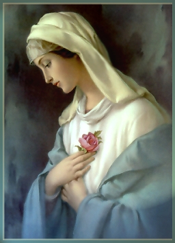 szuzanya_mystical_rose_1.jpg