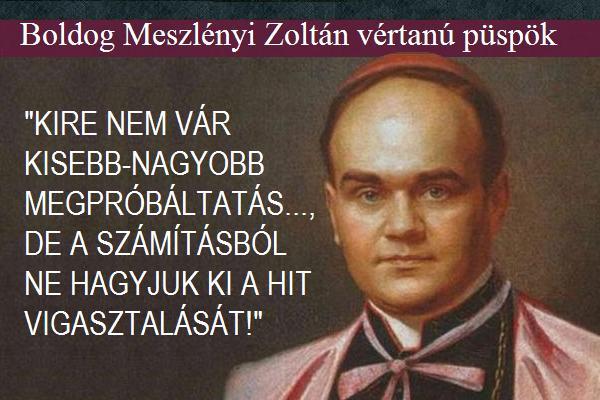 007_meszlenyi_zoltan_marc_4.JPG