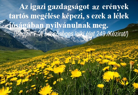 078igazi_gazdagsag_530_1.jpg