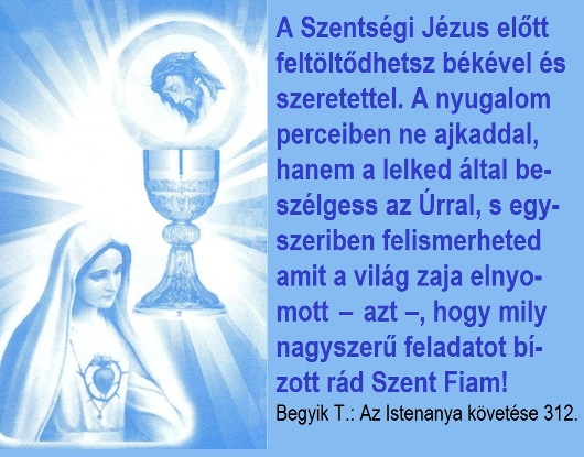 230a_szentsegi_jezus_530_1.jpg