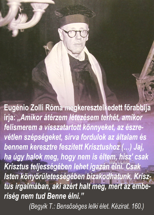 272eugenio_zolli_530.jpg