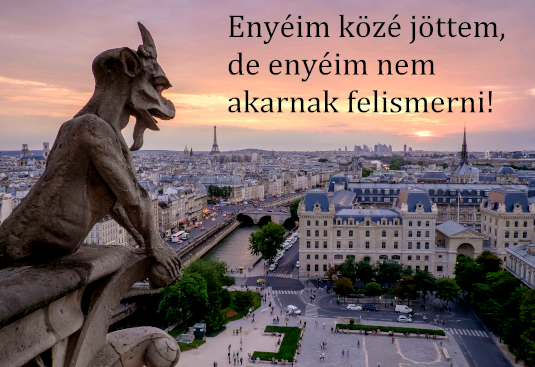 471enyeim_koze_535.jpg