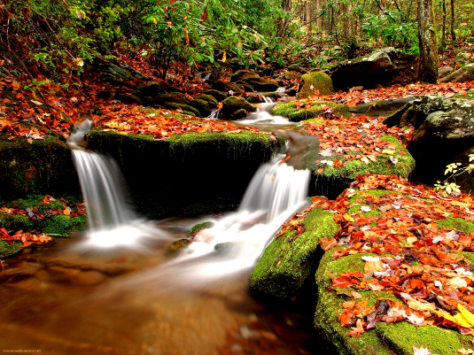 _creek-in-autumn-_535.jpg