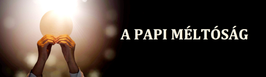 a_papi_meltosag_banner_545.jpg