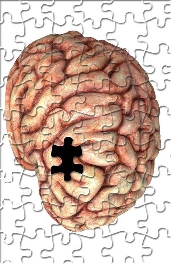 c0081620-jigsaw_brain-spl.jpg