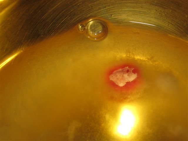 edisolved_eucharist_close_06-2011.jpg