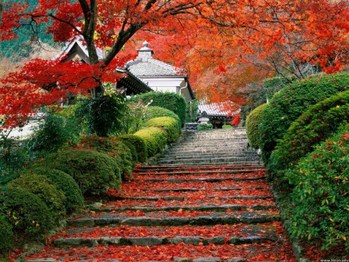 gardenstaircase_kyoto_japan.jpg