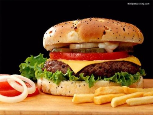 hamburger 1.jpg