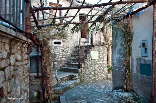haz_ahol_szuletett_545.jpg