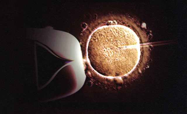 in-vitro-photo.jpg