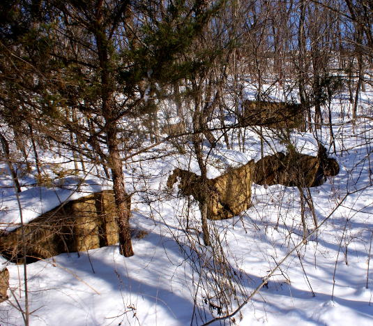 taj_boulders_535.jpg