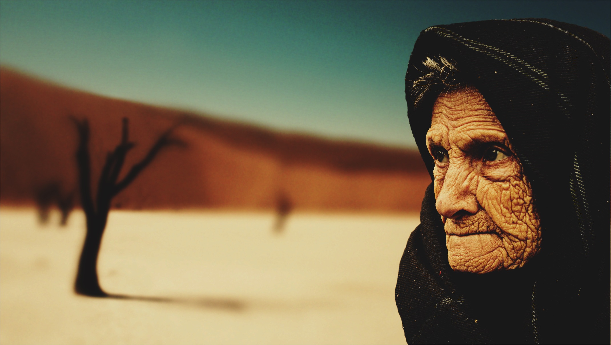 old-woman-574278.jpg